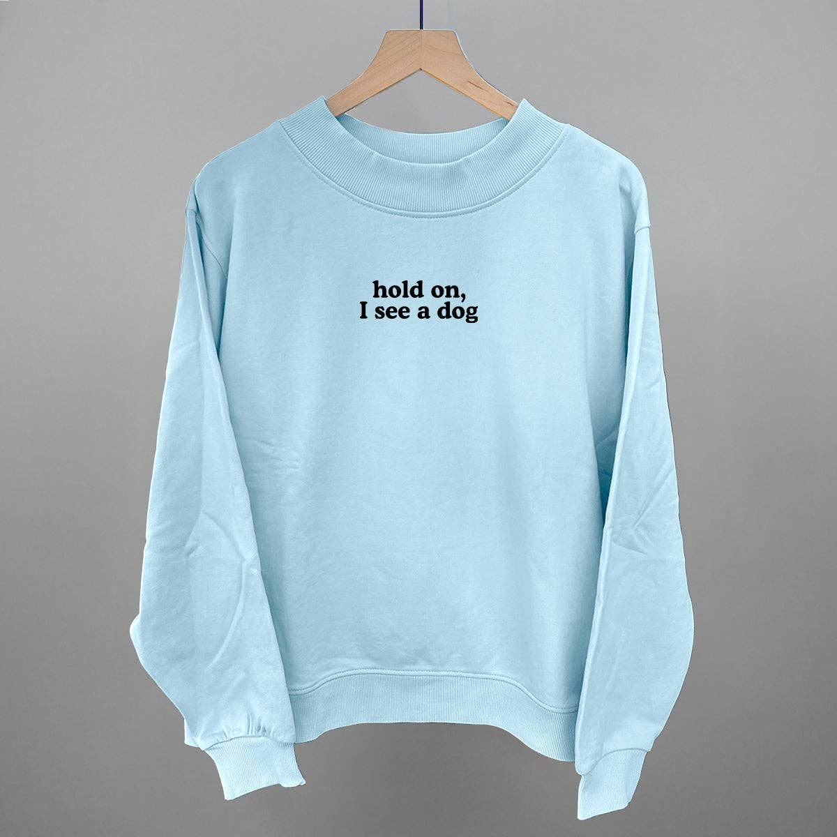 Hold On I See A Dog: Nantucket Breeze Oversized Boxy Crew